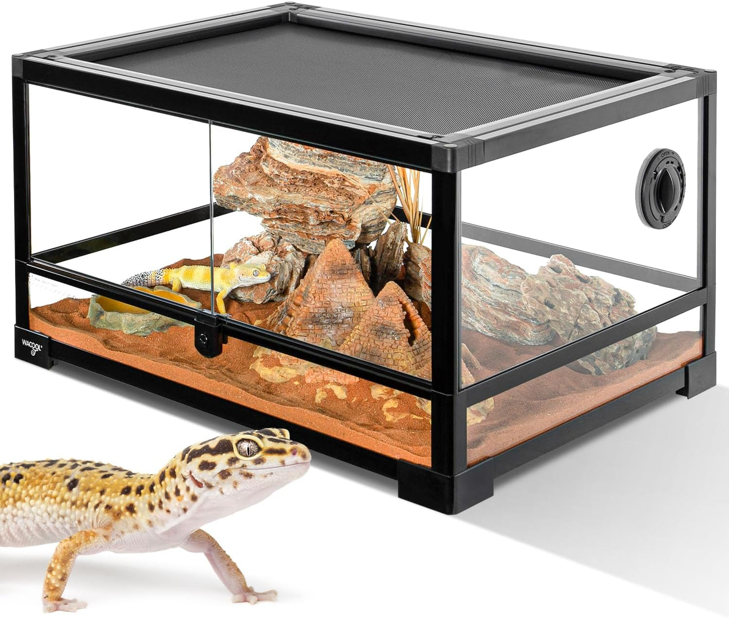 Reptile Tank 20 Gallon, 360°Full Vision Glass Reptile Terrarium 24" x 18" x 12", 24 in Wide Front Opening Reptile Tank for Desert and Tropical Reptiles Gecko Bearded Dragon Snake Hermit Crab