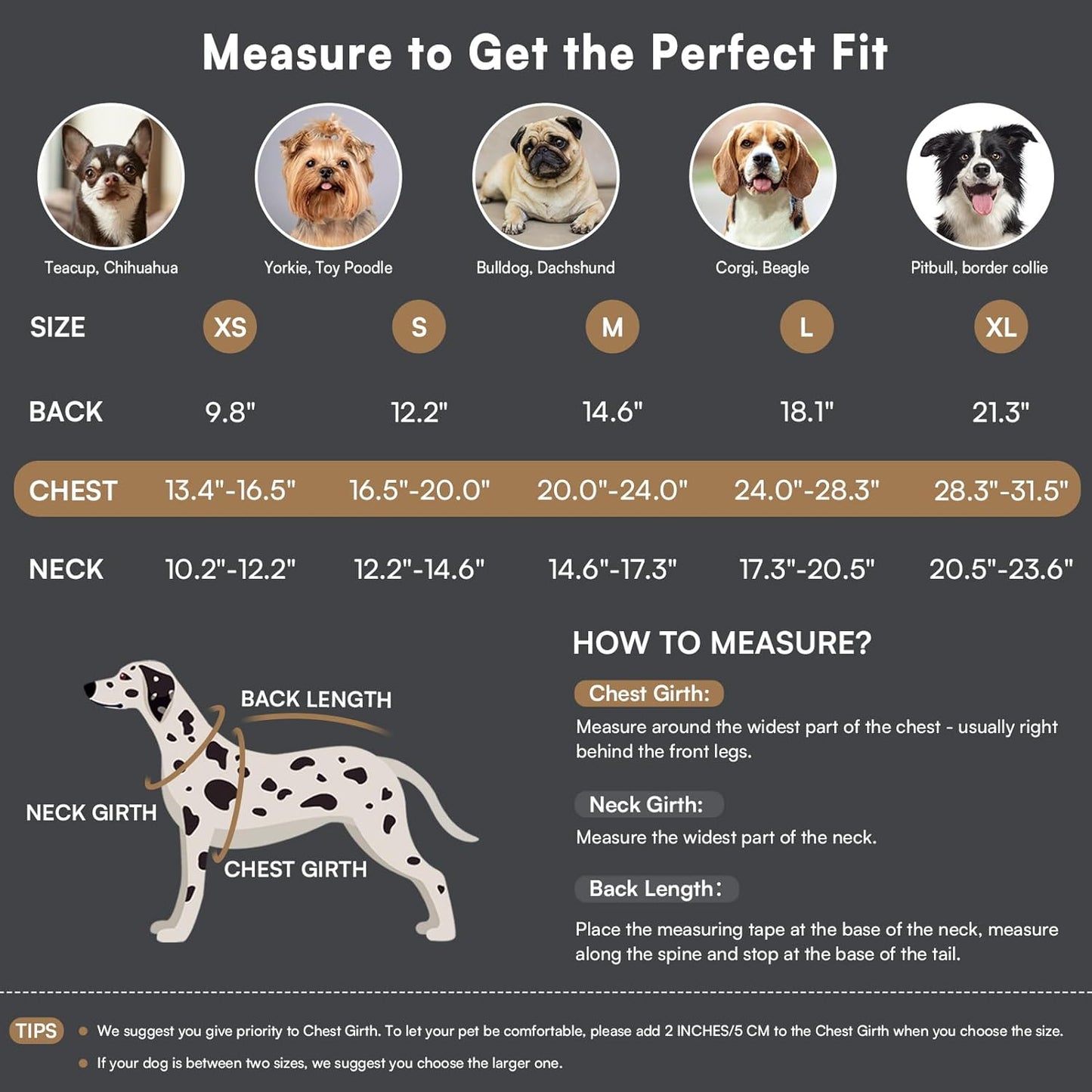 Queenmore Dog Winter Coat - Fleece Jacket, Waterproof Cold Weather Dog Clothes, Thick Warm Cotton Padding, Easy On Storage Pockets (Grey, Small)