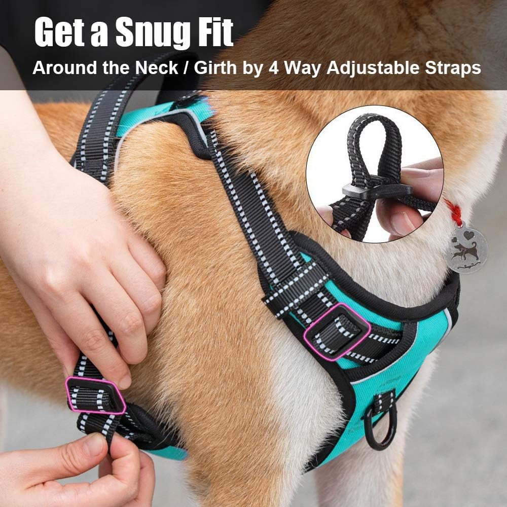 PoyPet No Pull Dog Harness, Reflective Comfortable Vest Harness with Front & Back 2 Leash Attachments and Easy Control Handle Adjustable Soft Padded Pet Vest for Small to Large Dogs (Mint Blue,XS)