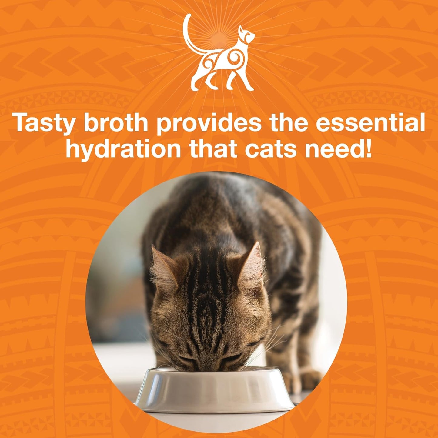 KOHA Pure Shreds Chicken Entrée for Cats, High Protein Wet Cat Food, 2.8oz Cans (Pack of 24)