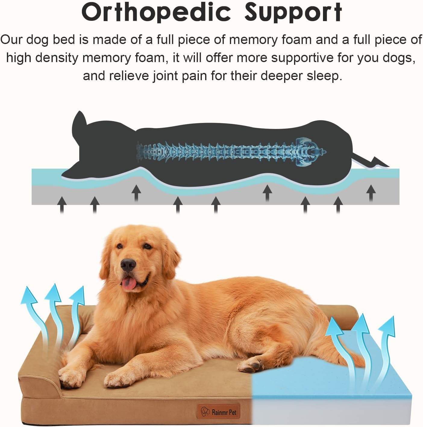 Upgraded Large Dog Bed, 3" Memory Foam with Waterproof Liner, Chew Resistant Microsuede Cover, Removable and Washable, for Indoor, Outdoor, and Car Use, Nonskid Base, 41x27 Inches XL Khaki