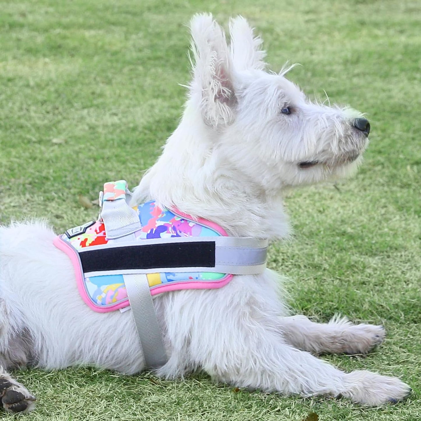 Bolux Dog Harness, No-Pull Reflective Dog Vest, Breathable Adjustable Pet Harness with Handle for Outdoor Walking - No More Pulling, Tugging or Choking (X-Small (Pack of 1), OilPainting)