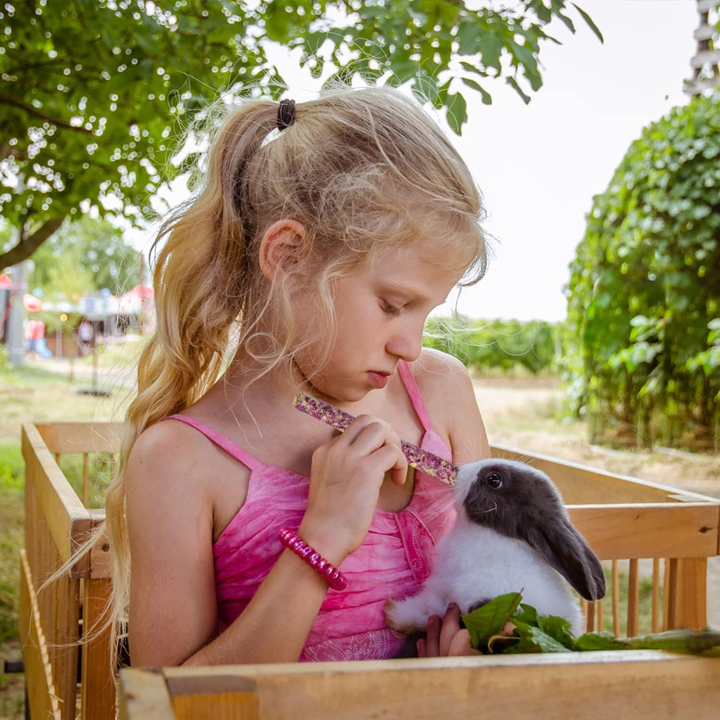 Sofier Timothy Hay Treats Rabbit Toys Bunny Toys Guinea Pig Hamster Natural Chews for Teeth Handmade Rabbit Chews and Treats Chinchilla Rat Gerbil