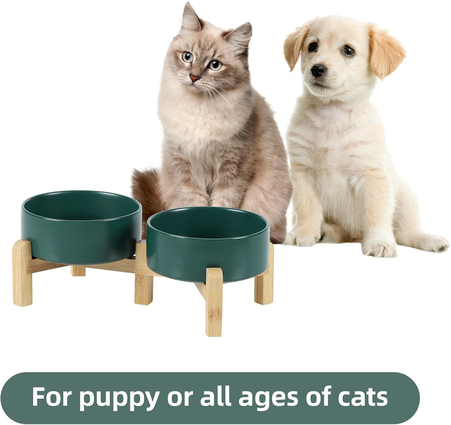 Ceramic Raised Double Bowls Set with Stand, 2 Heights Elevated, Food & Water Bowls for Small Breed Dogs, Cats, Kitty, Weighted Dog Dishes, Pet Bowls(5.1'',13.5oz, Green)