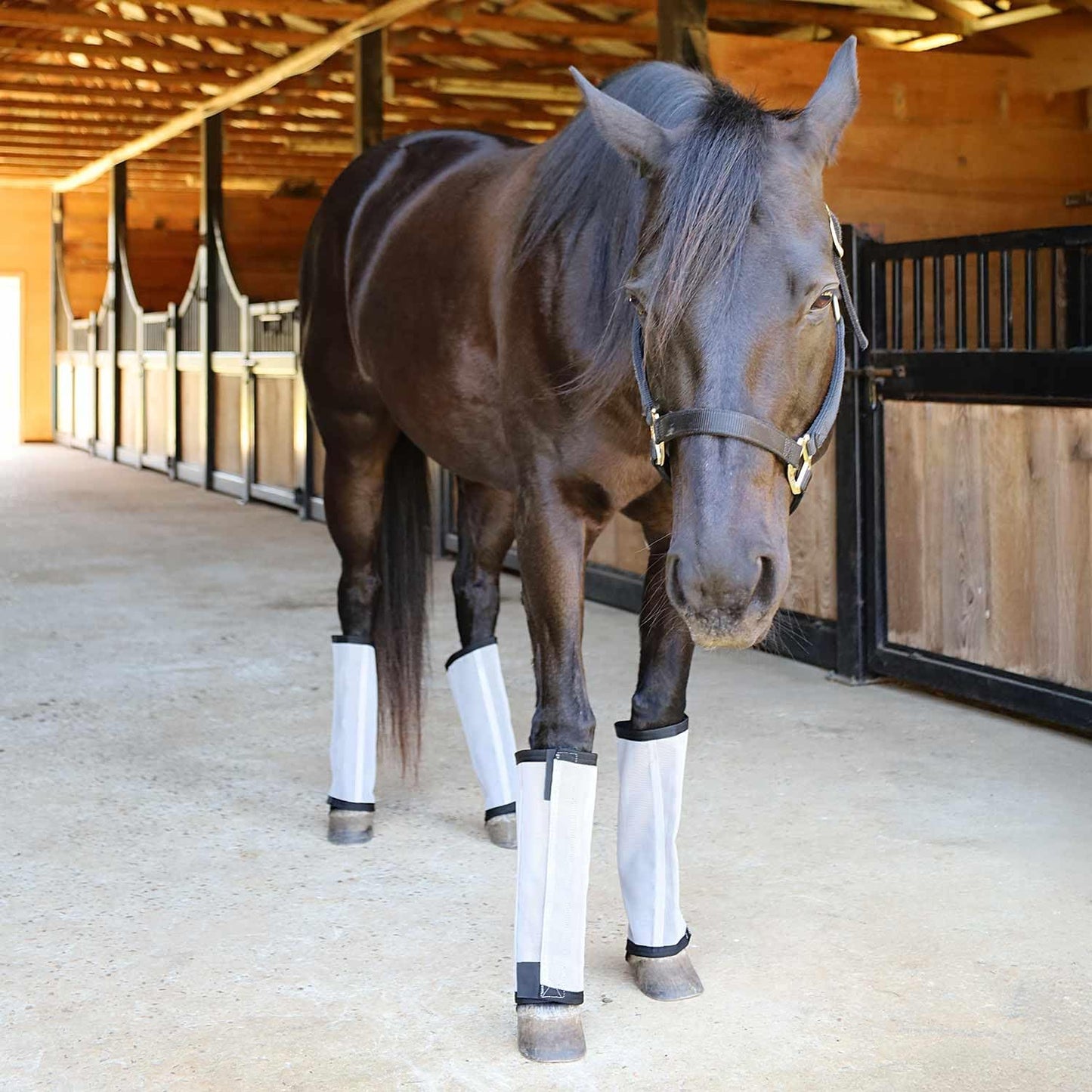 Jeffers Romper Stomper Fly Boots for Horses - Grey, Large – Breathable Mesh Leg Wraps for Insect Protection, Stable Accessories for Summer Turnout, Ride Gear, Horse Hoof & Leg Care - 4 Pack