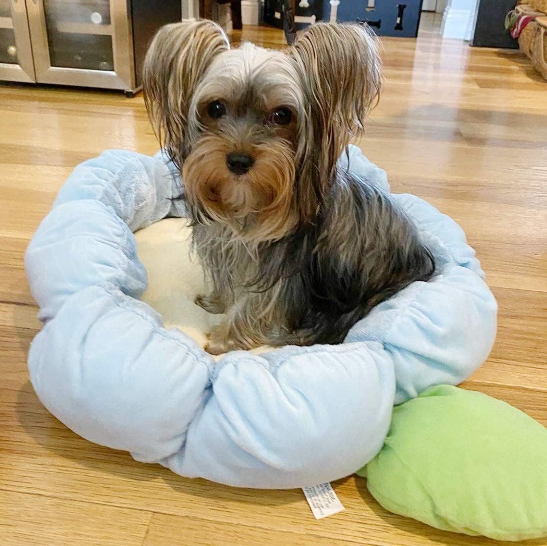 TONBO Soft Plush Small Cute and Cozy Nature Dog Cat Bed, Washer and Dryer Friendly (Blue Flower)