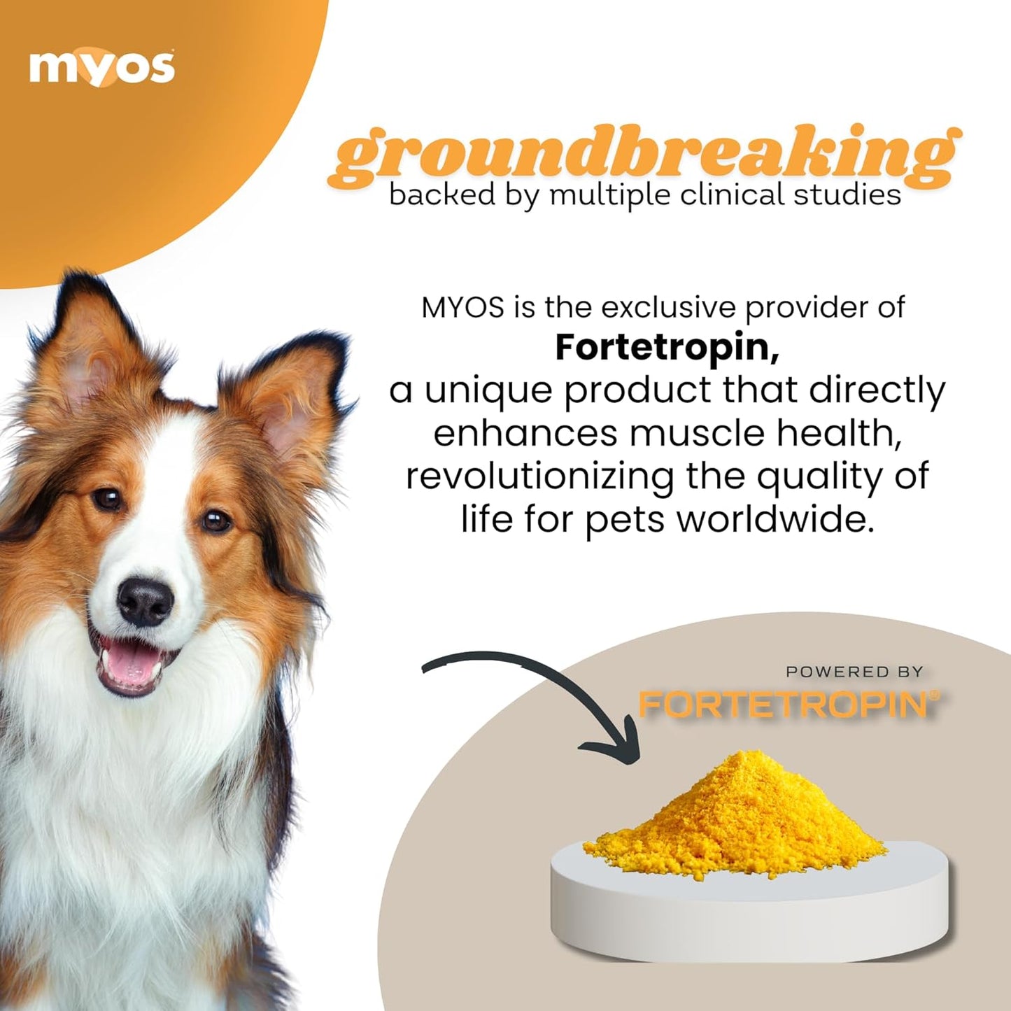 MYOS Canine Muscle Formula - All-Natural Muscle Building Supplement - Helps Reduce Muscle Loss in Aging Dogs and Improve Recovery from Injury or Surgery