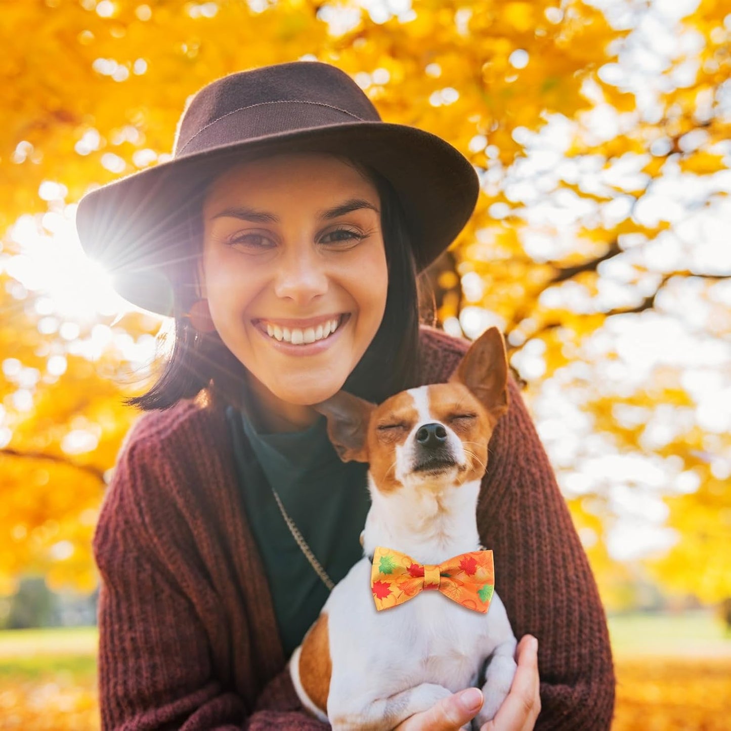 Hillban 50 Pcs Fall Thanksgiving Dog Collar Bow Ties Maple Leaves Dogs Collar Accessories Bow Ties Attachment with Elastic Bands Detachable Charms for Pet Costume Photo Props Accessories Pet Shops