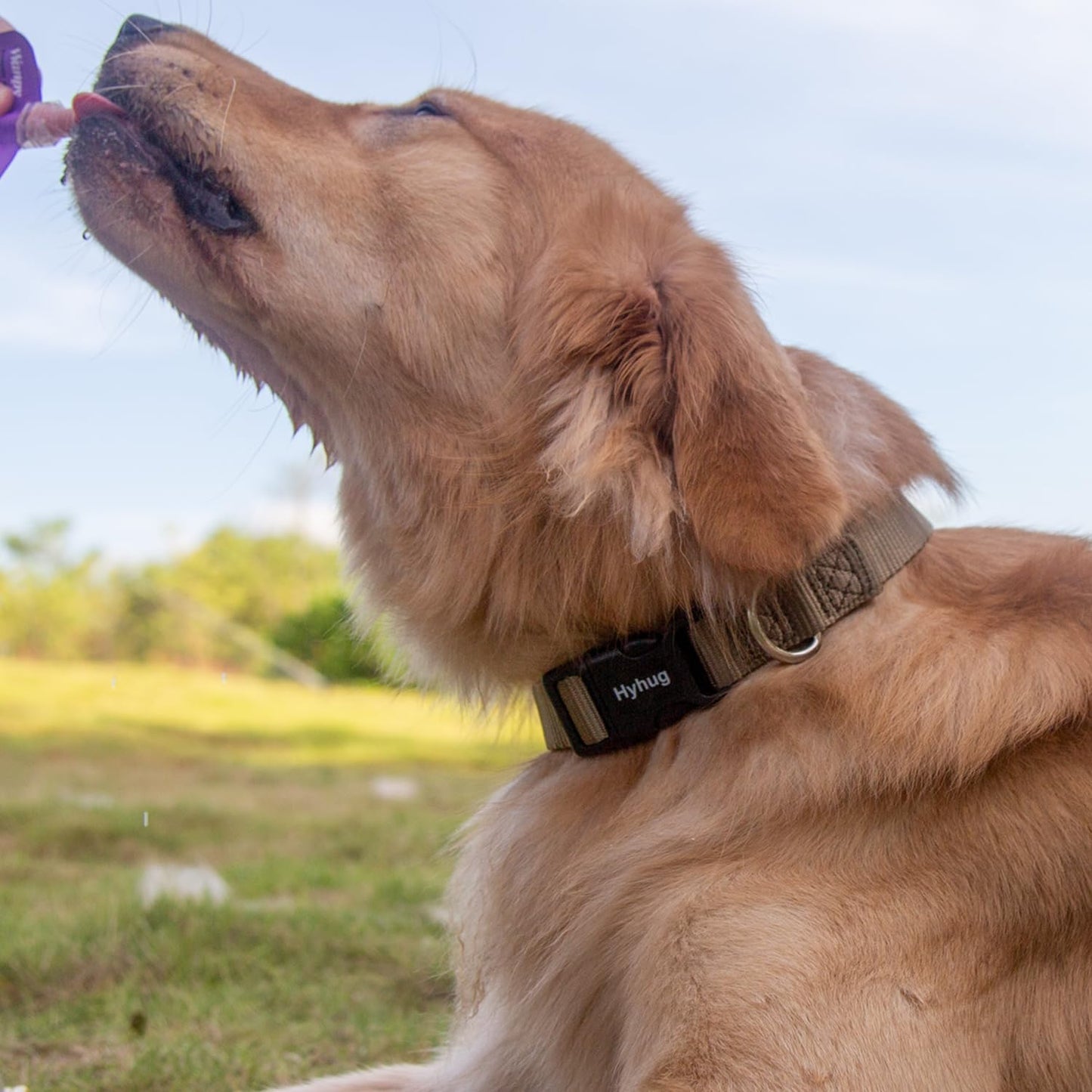 Hyhug Dog Collar for Large Dogs, Green Heavy Duty | Quick Release Nylon Buckle Collar, Adjustable & Durable Pet Supplies for Boy & Girl Dogs (Large, Military Green)
