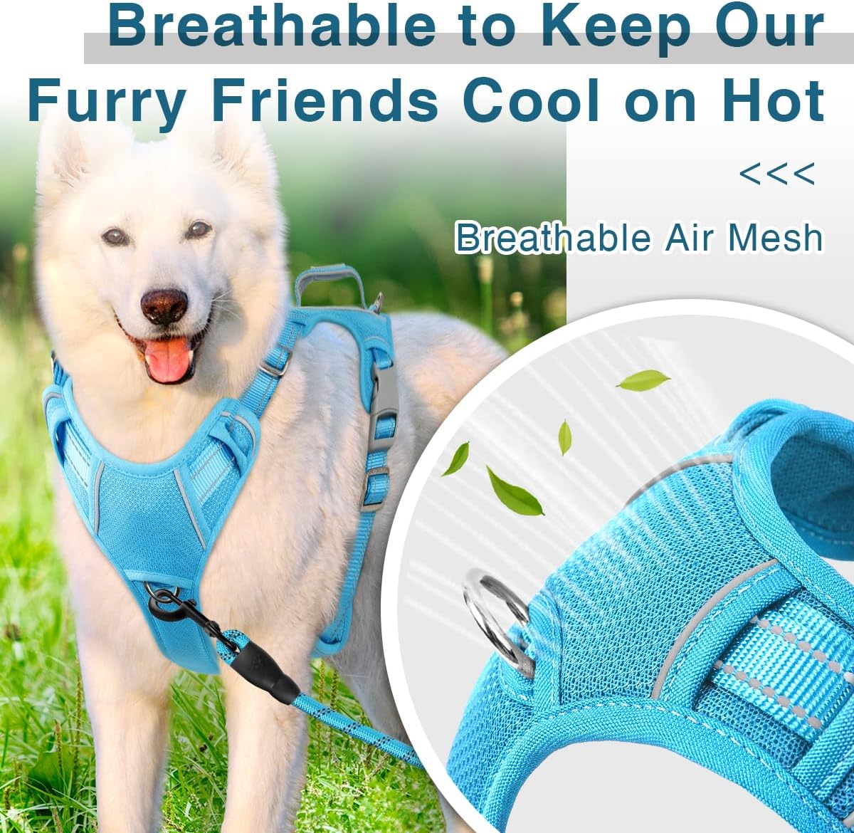 BARKBAY Dog Harness No Pull with ID Tag Pocket - Heavy Duty, Reflective, Easy Control for Large Dogs(Blue,XL)