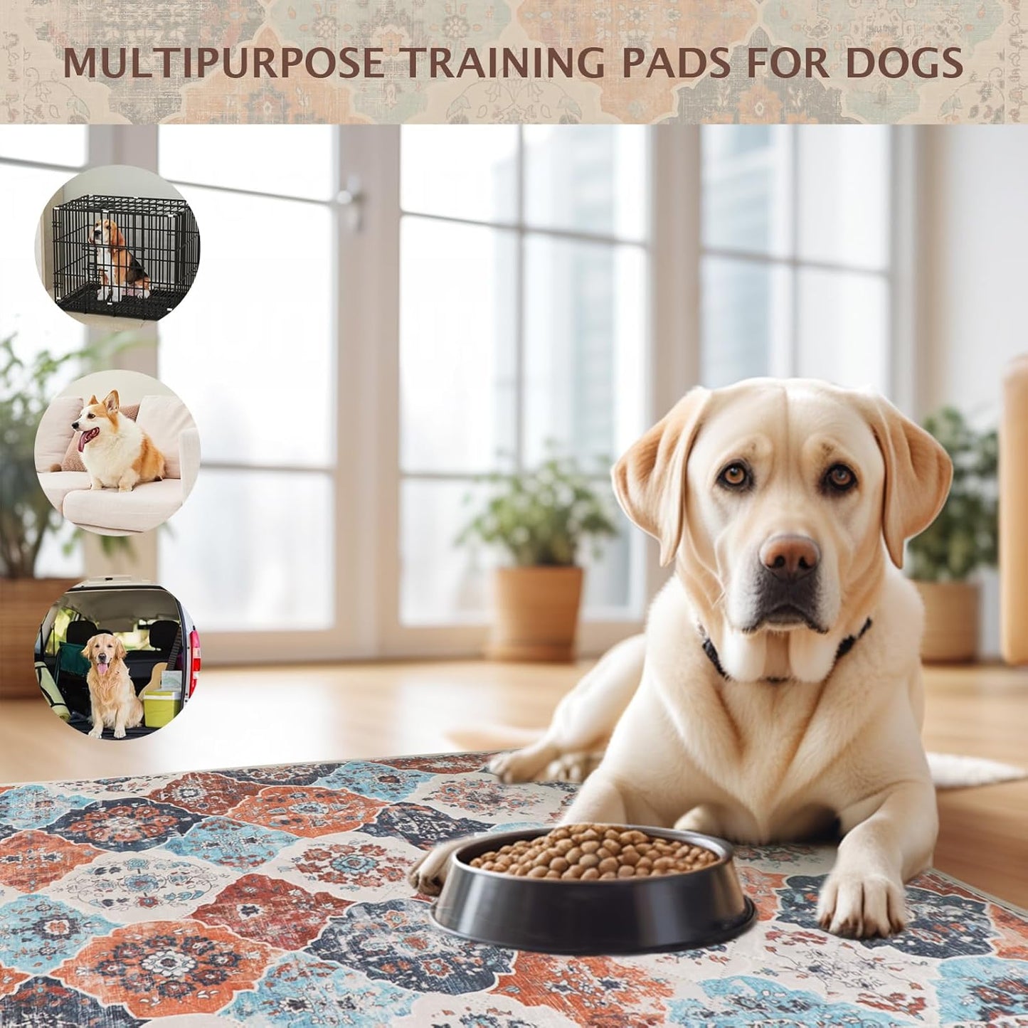 IEUUMLER Washable Pee Pads for Dogs, 2 Pack Reusable Non-Slip Grip, Super Absorbent Waterproof Puppy Pads for Potty Training, Playpen, Crate, Whelping Box EU011 (Orange, 31" x 36")