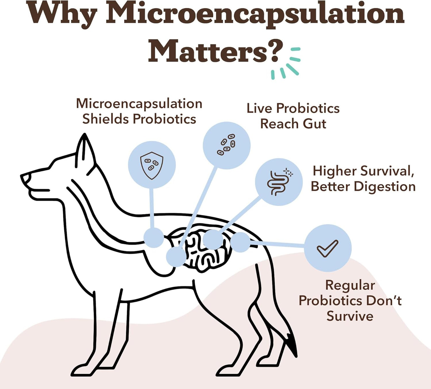 Natural Dog Company Gut Health & Probiotic Chews for Dogs (45 Ct), Prebiotics, Digestive Enzymes & Canine Specific Probiotics for Digestion, Gas, Loose Stool & Immune System Support, 1 Chew Daily