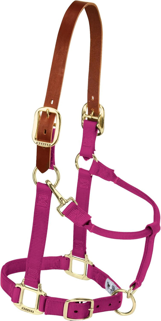 Weaver Equine Breakaway Horse Halter, Supple Leather Crown, Adjustable Chin & Throat Snap Halters for Horses, Equine Tack