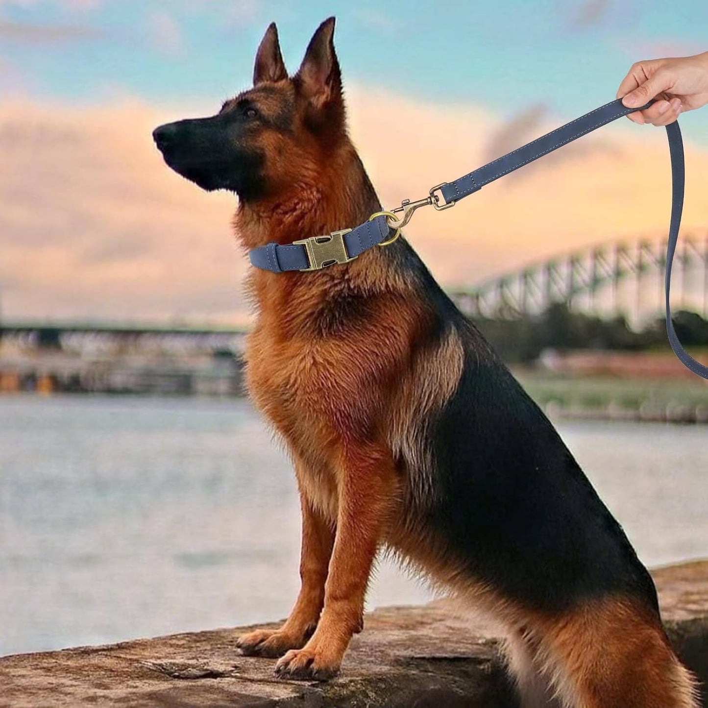 Didog Soft PU Leather Dog Collar, Stylish Quick Released Dog Collars for Large Dogs, Easy Clean Adjustable Pet Collar for Daily Walking, Blue, XL Fit 17-27" Neck