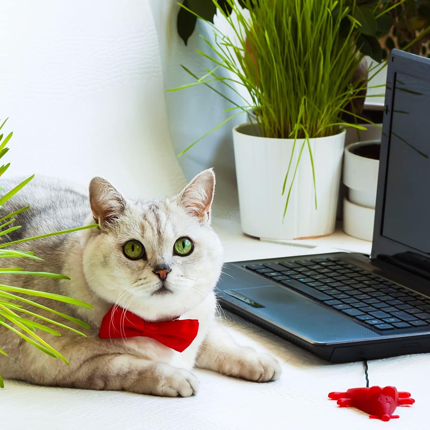 Dog Collar Bowties - 20 PCS Birthday Gift Adjustable Pet Bow Ties for Boys Girls Puppy Cats Photography Grooming Multicolor Bows(Small)