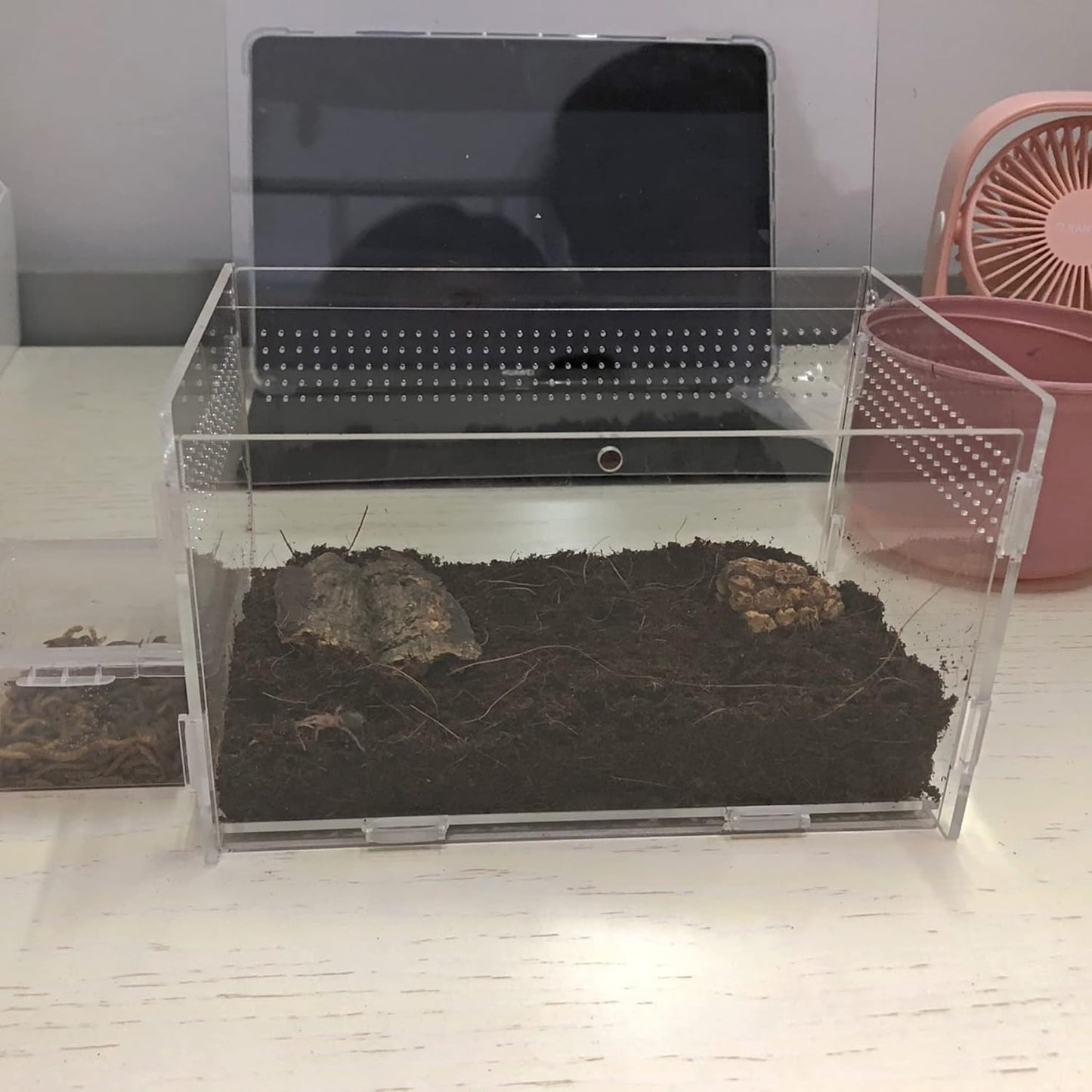 Magnetic Acrylic Case, micro habitat small Tarantula Enclosure enclosure for arboreal Tarantula Scorpion Sling Lizards Mantis Snake Gecko jumping spider snail Insect Isopods (7.8*4.7*4.7inch)