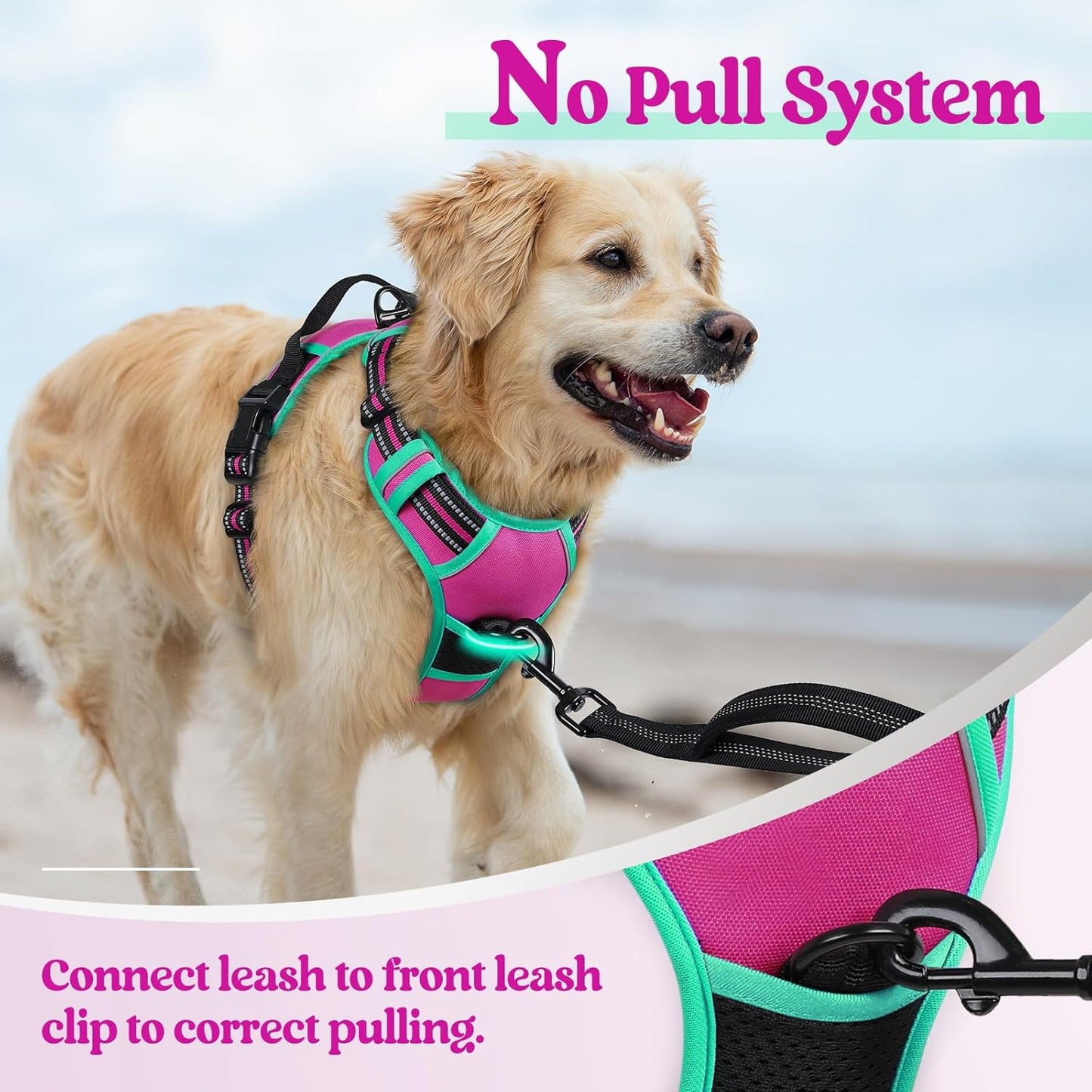 rabbitgoo Dog Harness No Pull with 2 Leash Clips, Adjustable Soft Padded, Reflective Oxford No Choke Pet Vest with Easy Control Handle for Large Dogs, Hot Pink & Turquoise, M