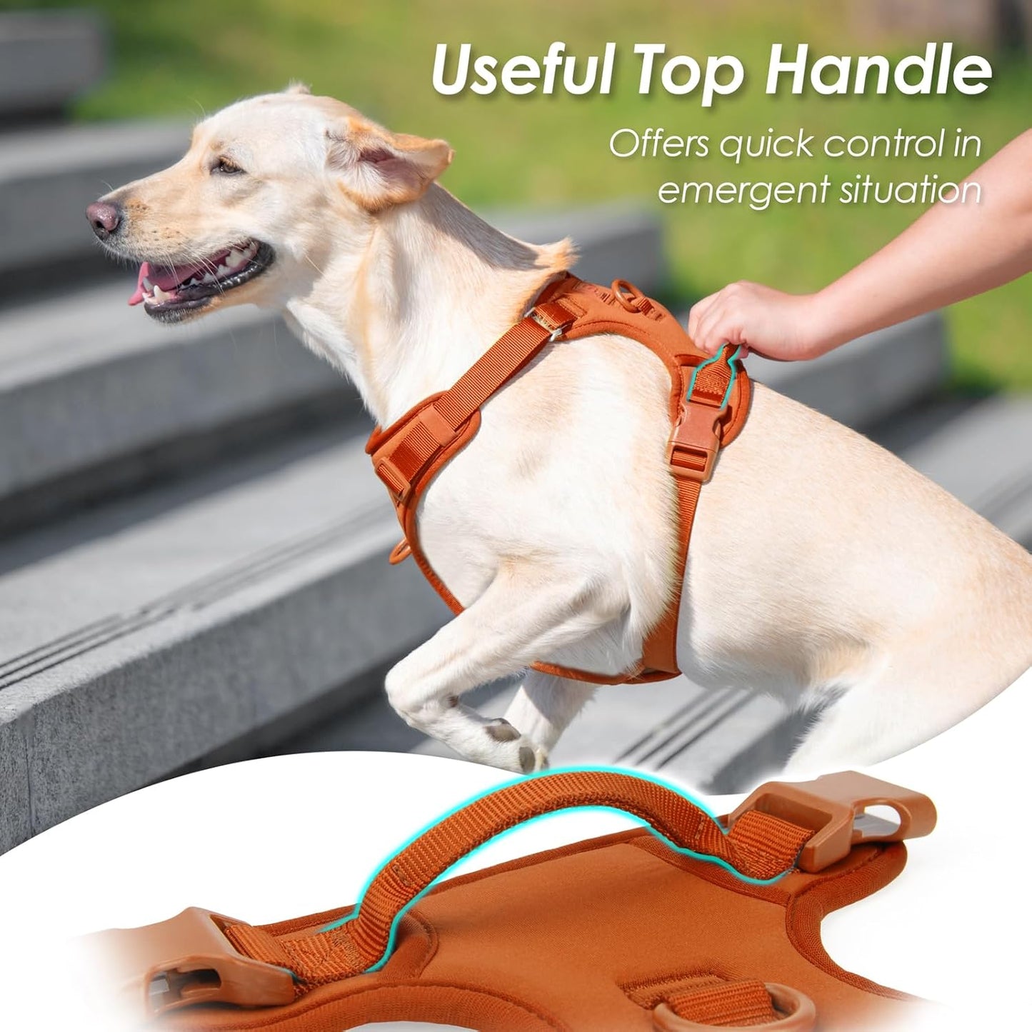 No Pull Dog Harness, Puppy Vest with Front Clip for Small Medium Large Sized Dog(Carmel Brown,XL)