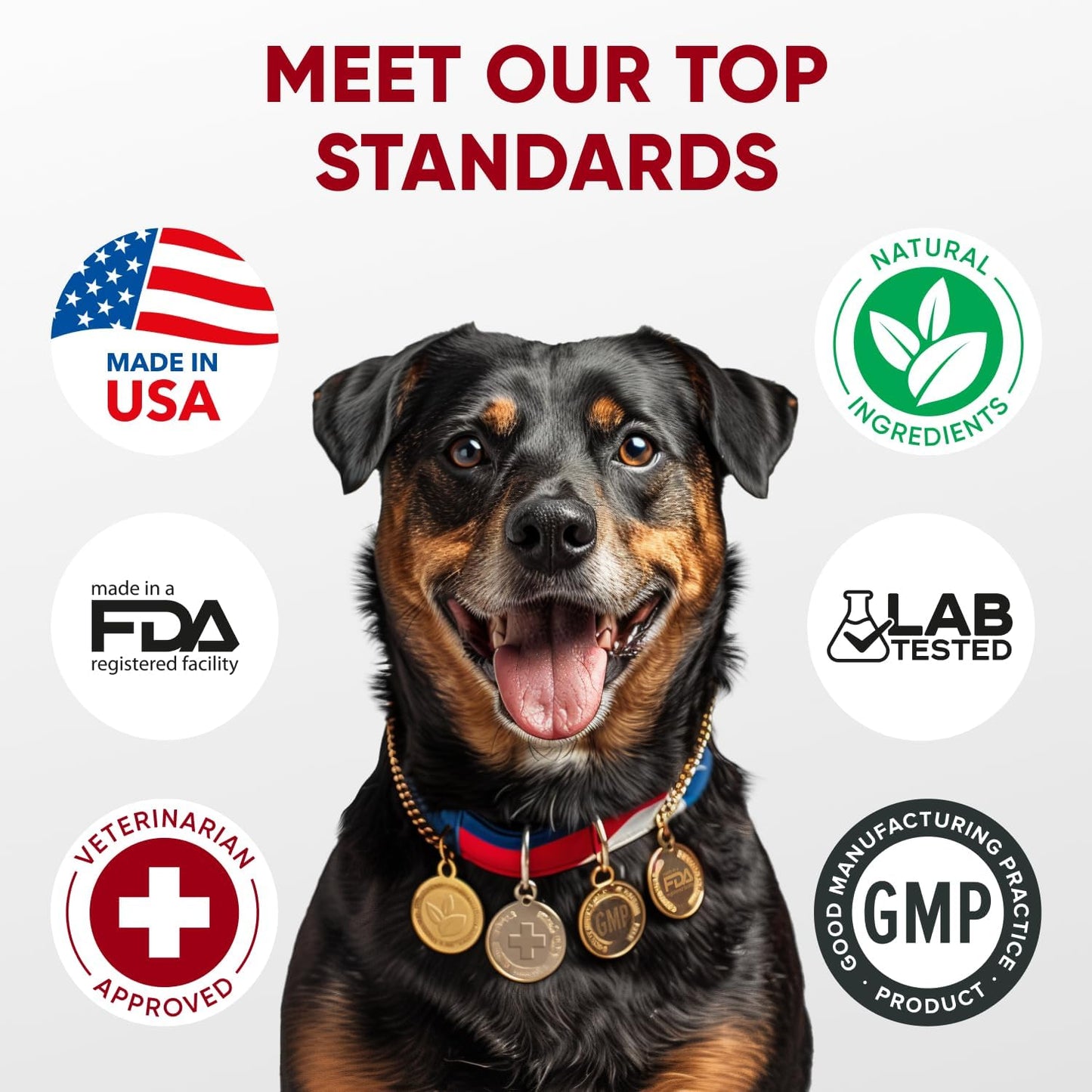 Probiotics for Dogs Digestive Health - Probiotic Chews for Gut Health, Itchy Skin Yeast, Diarrhea - USA Product - Immune Support Supplement - Dog Digestive Support & Allergy Relief Chews with Enzymes