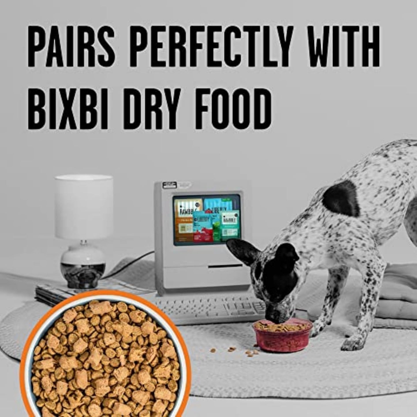 BIXBI Rawbble Freeze Dried Dog Food, Chicken Recipe, 26 oz - 98% Meat and Organs, No Fillers - Pantry-Friendly Raw Dog Food for Meal, Treat or Food Topper - USA Made in Small Batches