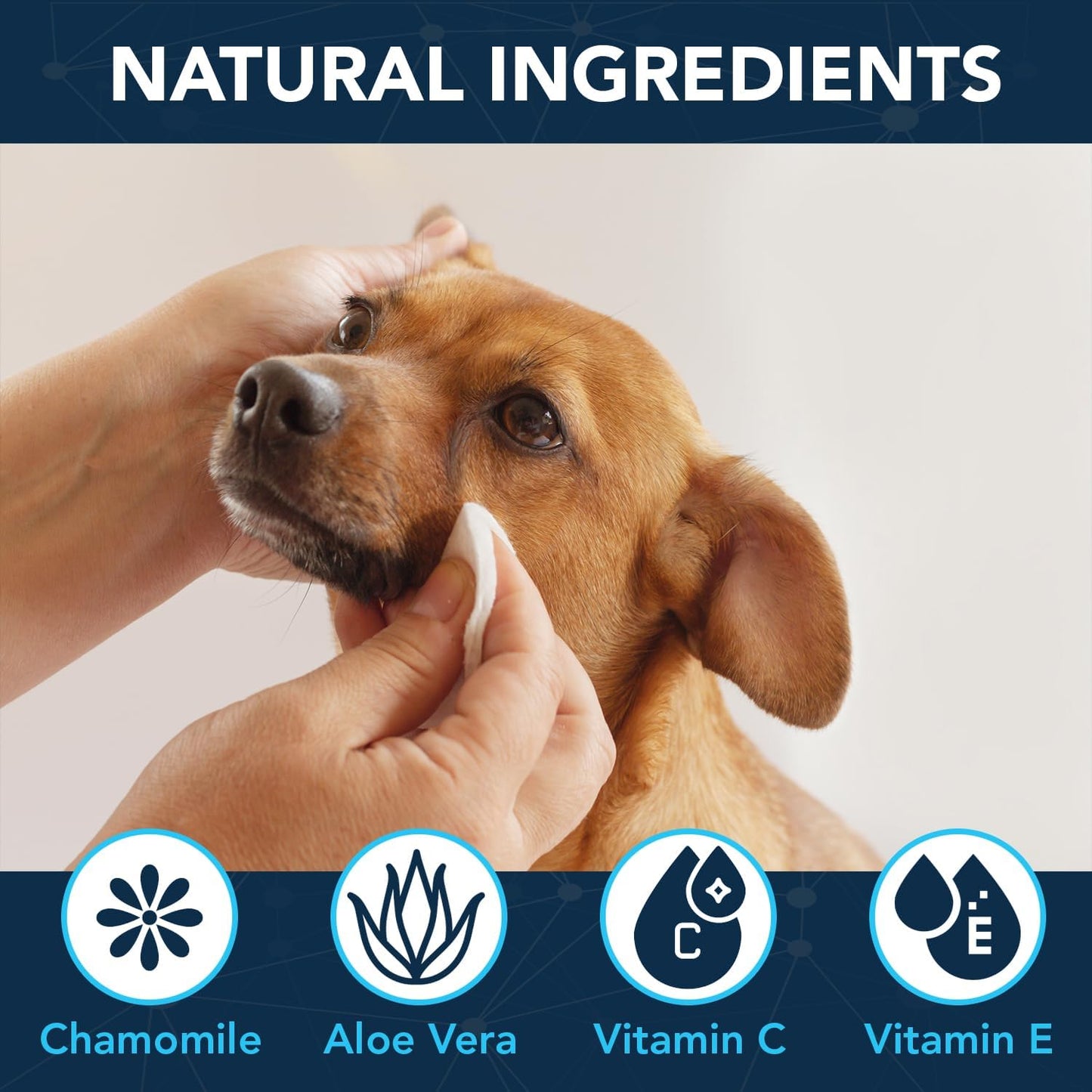 NOVEHA 100PCs Dog Eye Wipes - Tear Stain Remover for Dogs - Formulated with Chamomile and Aloe to Remove Eye Debris, Tear Stains & Eye Discharge - Plant Based, Safe, and Large 5"x5" Unscented Wipes