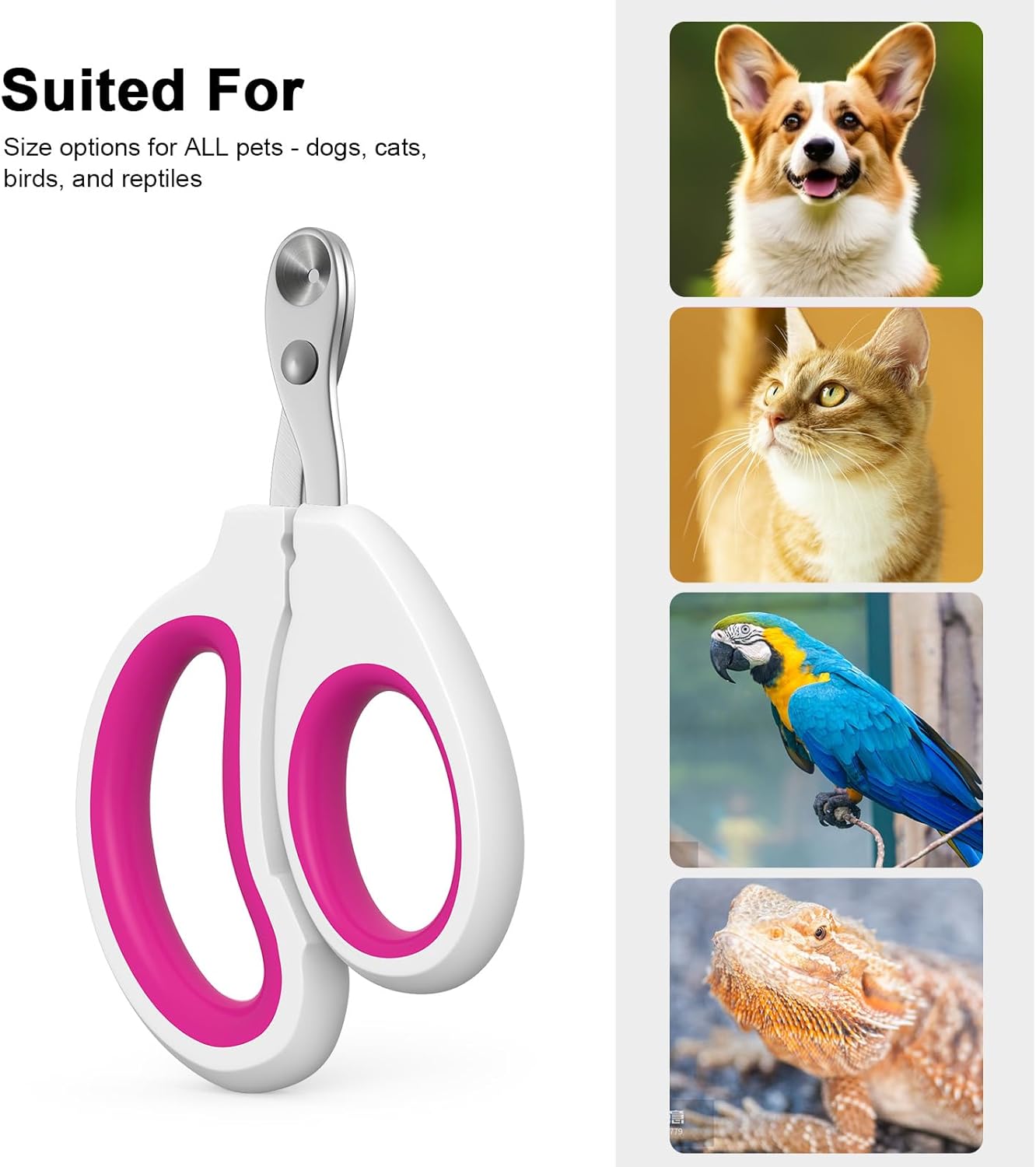 Cat Specific Nail Clipper, Avoiding Excessive Cutting, Suitable for Beginners. It Can Also be Used for Small Animals Such as Birds, Hamsters, Rabbits, Hedgehogs, Ferrets, Guinea Pigs, Etc.