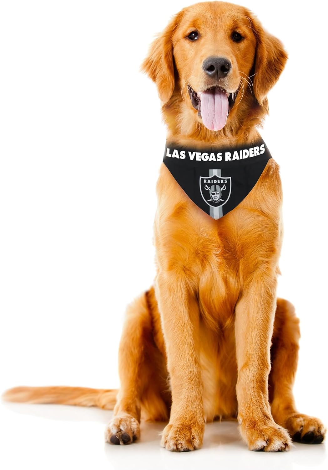 Littlearth NFL Pet Bandana - Reversible
