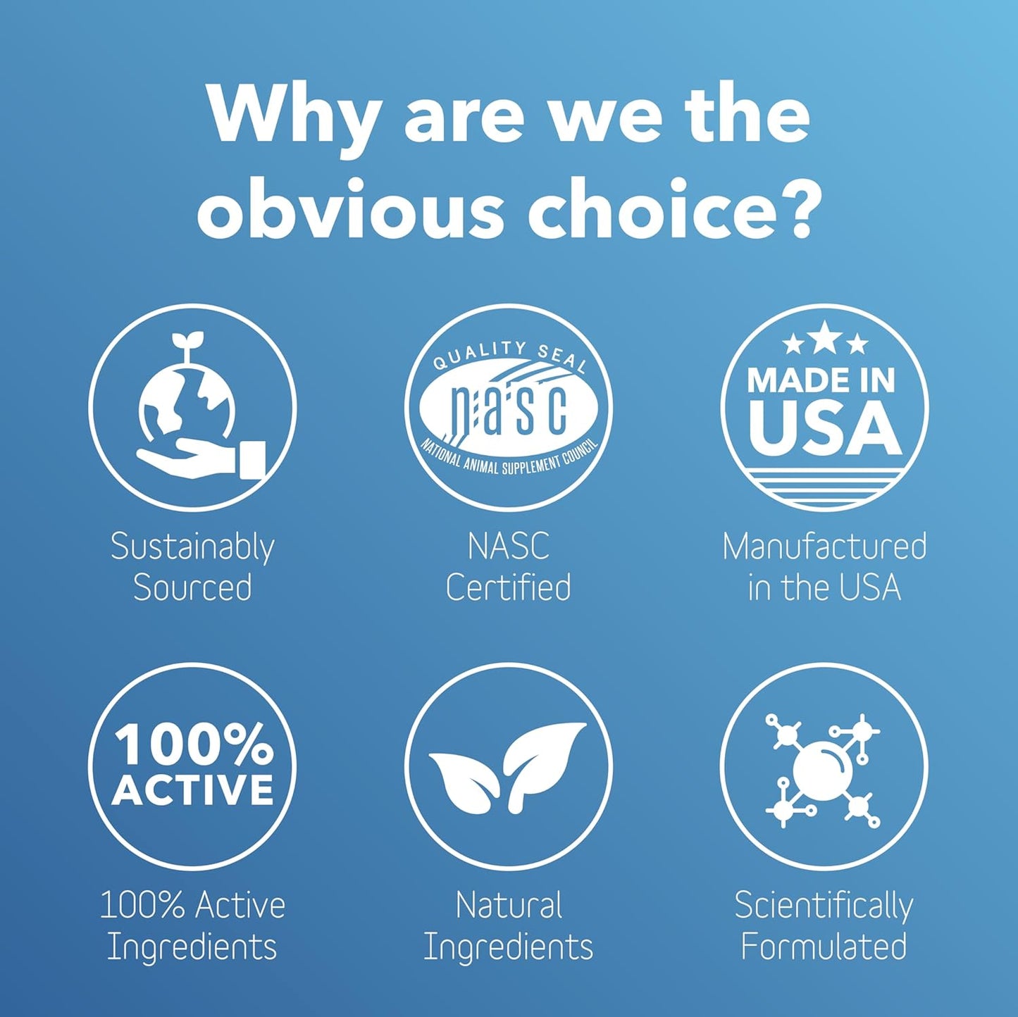 InClover Dog and Cat Dental Powder for Teeth Cleaning and Enamel and Gum Health, Natural Pet Supplement, Breath Freshener - Naturally Flush Away Tartar, No Brushing Necessary