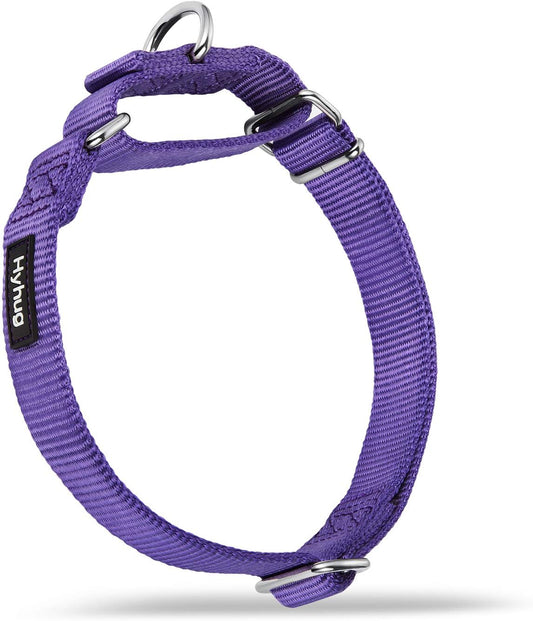 Hyhug Pets Premium Upgraded Heavy Duty Nylon Anti-Escape Martingale Collar for Pup Dogs Comfy and Safe - Professional Training, Daily Use Walking. (Small, Ultra Violet)