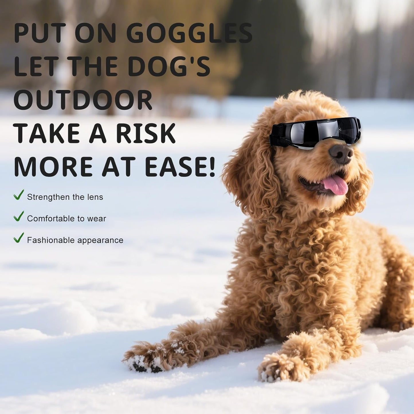 NVTED Dog Cat Goggle Sunglasses Small Breed, Puppy Windproof Anti-UV Glasses Adjustable Lightweight Anti-Fog Doggie Goggles for Small Dogs Cats Rabbits - Silver