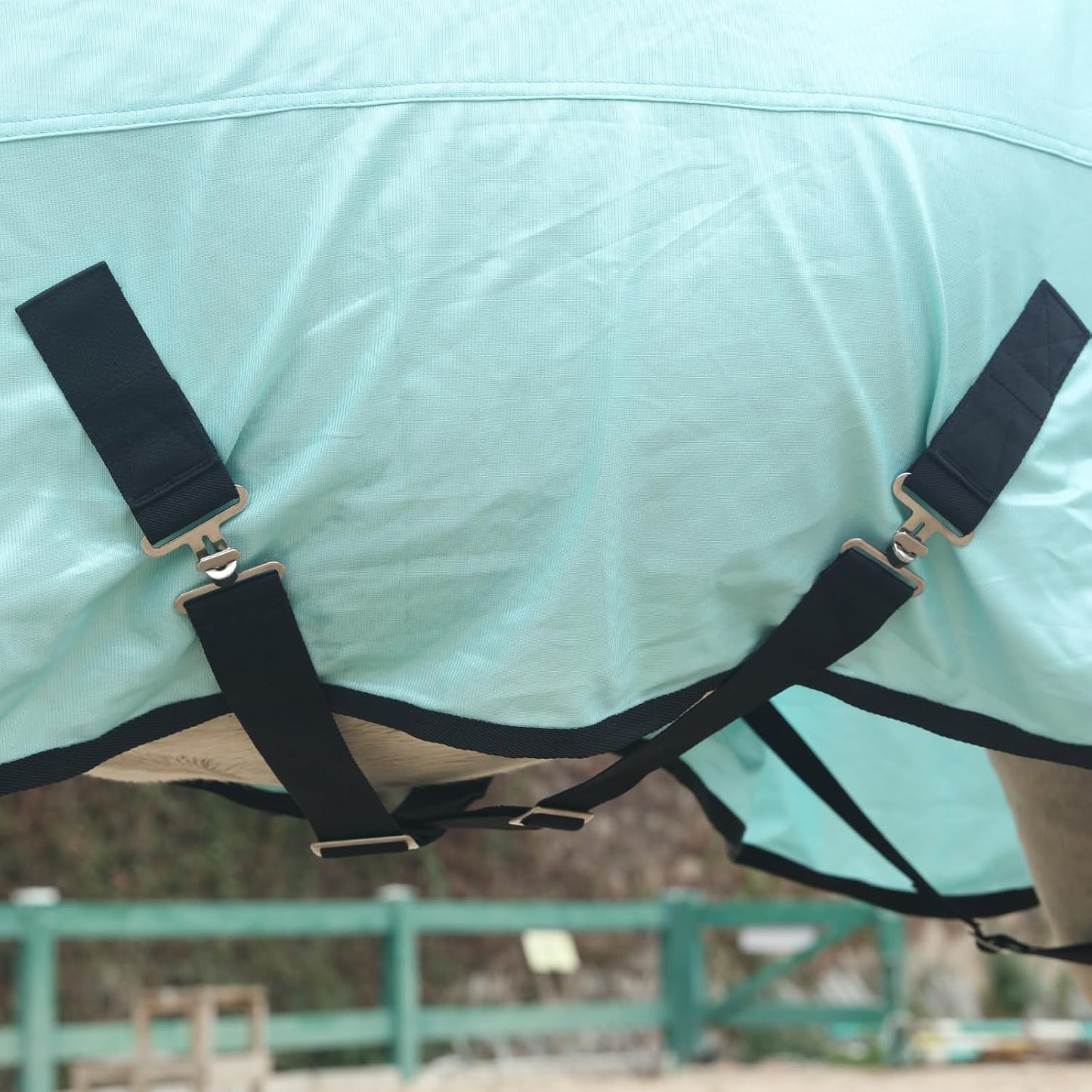 Horse Fly Sheet, Standard Neck Comfy Mesh Fly Sheet for Horses, Equine Summer Sheets UV-Protective Green 75