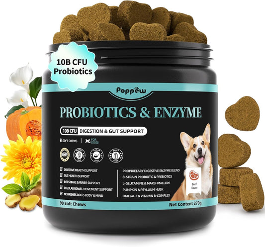 Probiotics for Dogs, Digestive Enzymes for Gut Health Support, Dog Fiber Supplement with Pumpkin for Diarrhea & Bowel Support, Upset Stomach & Gas Relief, Constipation - 90 Count Beef Flavor