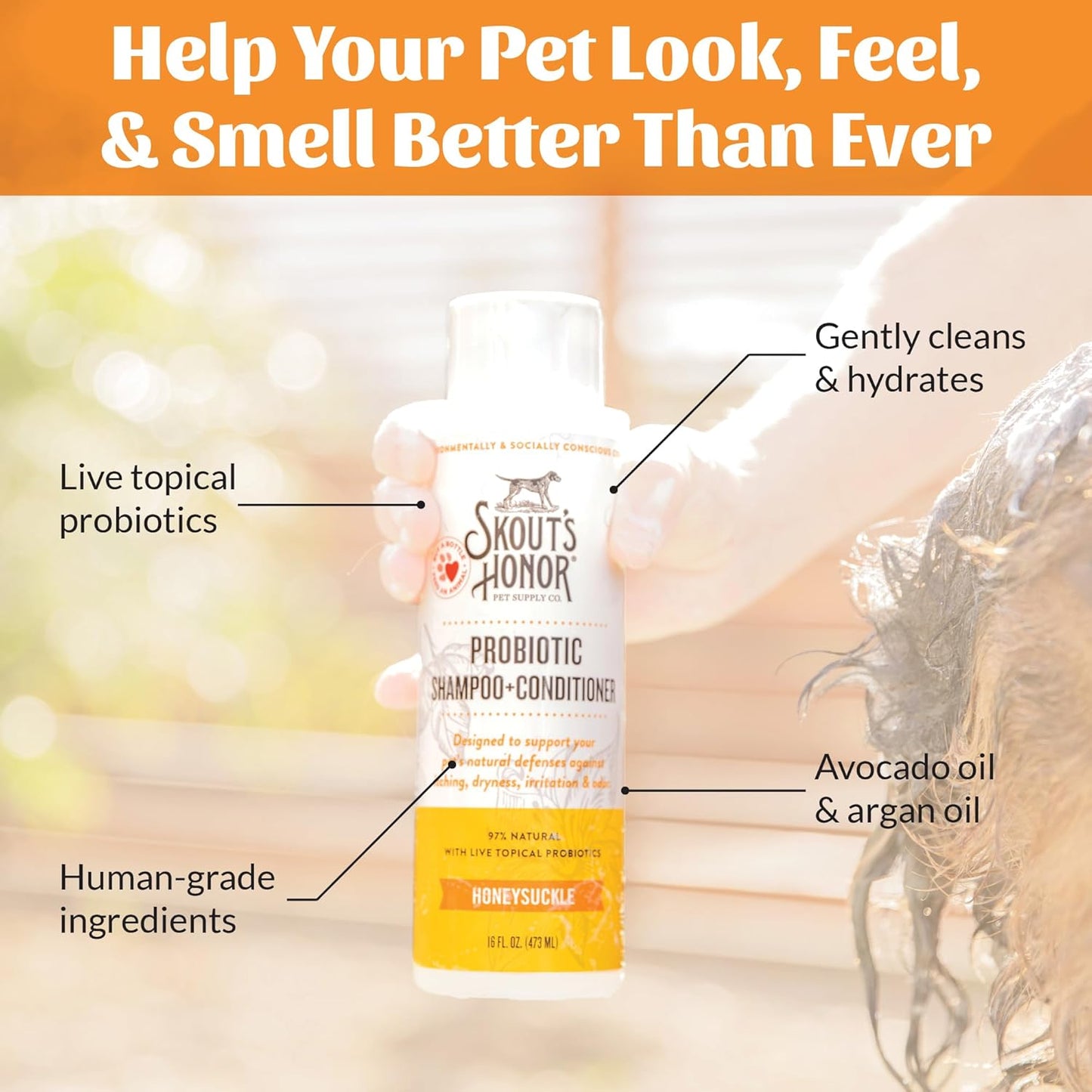 Skout's Honor Probiotic Dog Shampoo & Conditioner with Avocado Oil & Omega-3s, 97% Natural, Paraben & Sulfate-Free, Cruelty-Free, 16oz, Honeysuckle