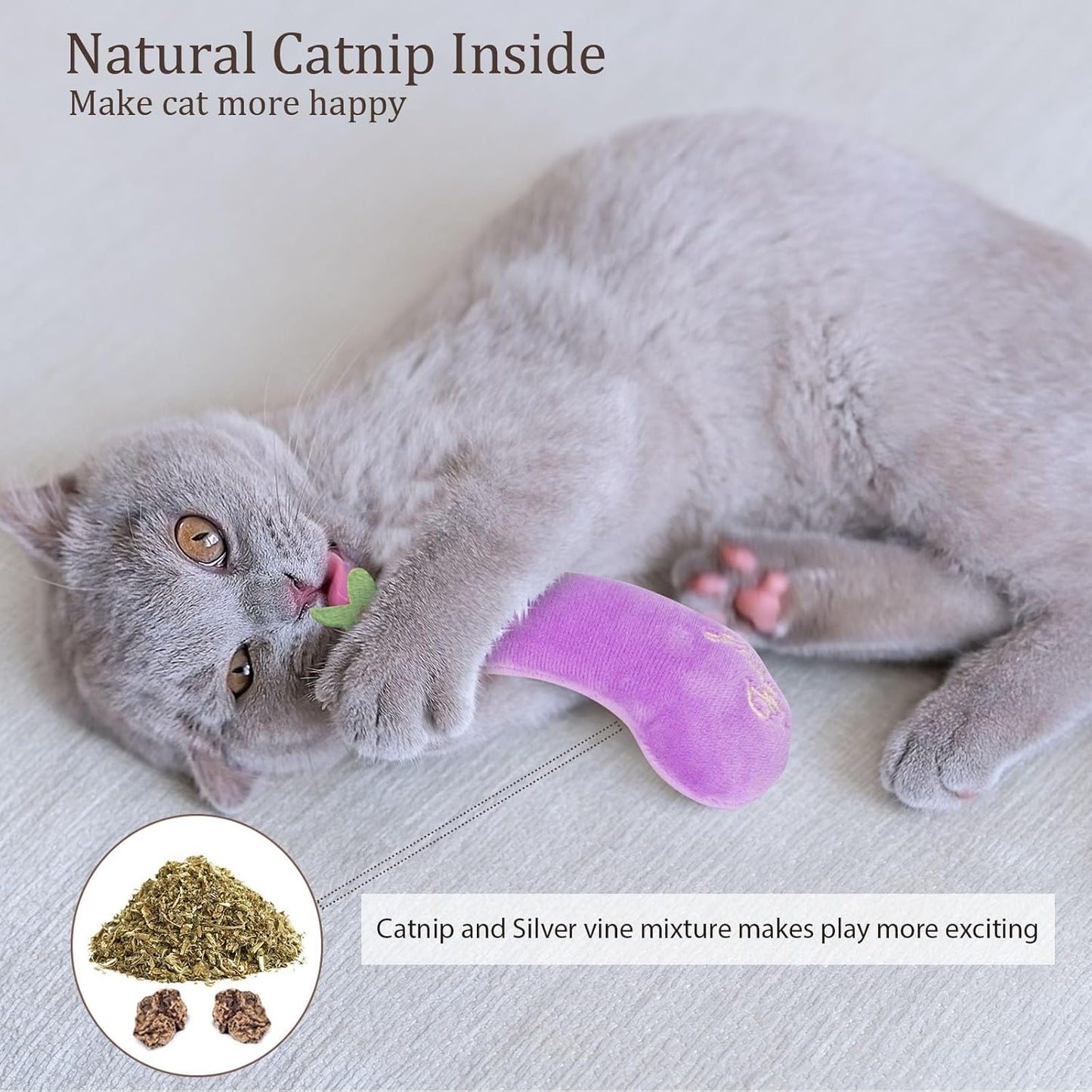 Catnip Cat Toys, Interactive Indoor Cat Nip Toy Kitty Kicker, Dental Kitten Chew Toy, 5 Pack, Vegetable Shape