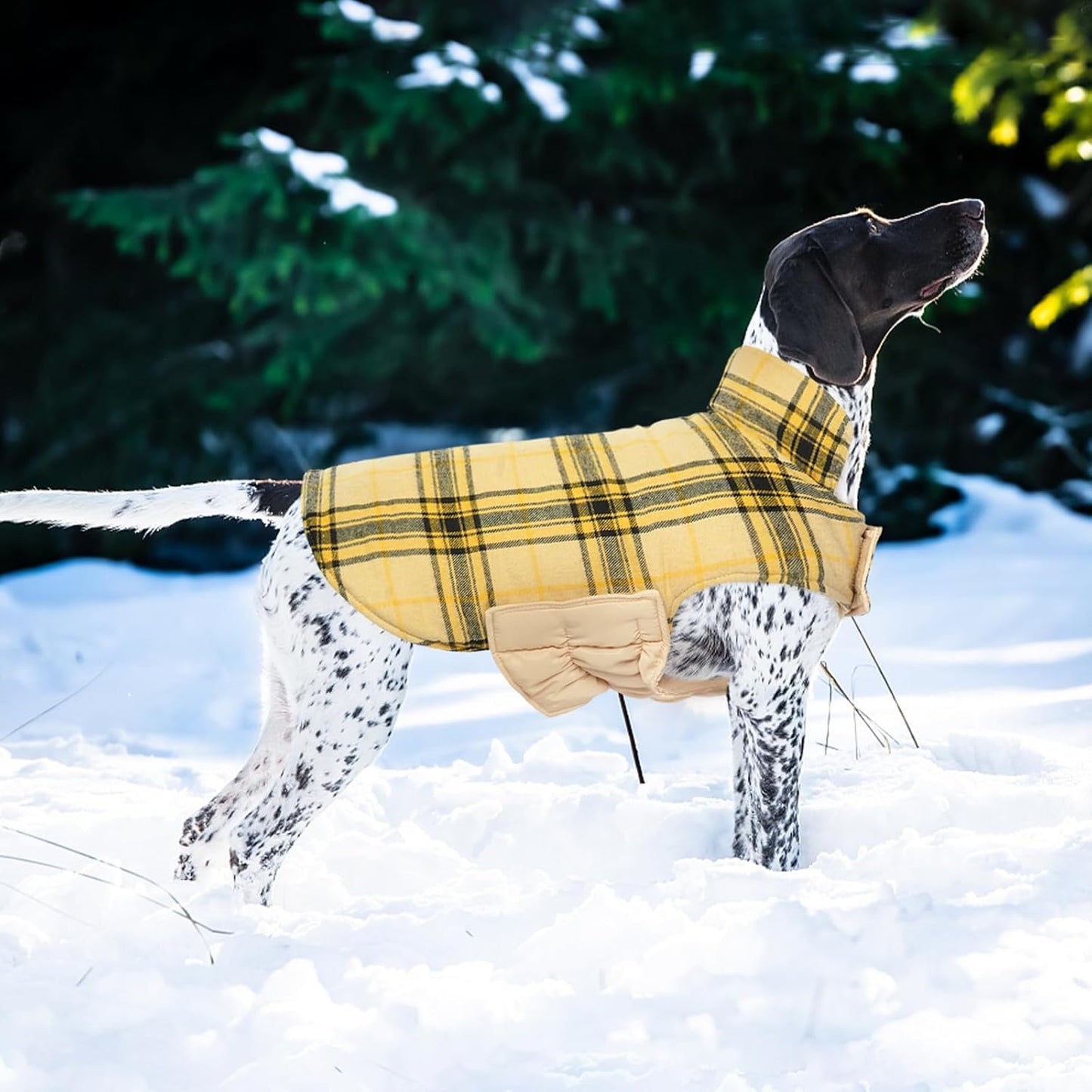 Kuoser Warm Dog Coat, Waterproof Dog Jacket for Extra Large Dogs, Adjustable Durable XXXL Doggie Winter Coat Reversible Puppy Cold Weather Apparel for Large Breed, Yellow 3XL