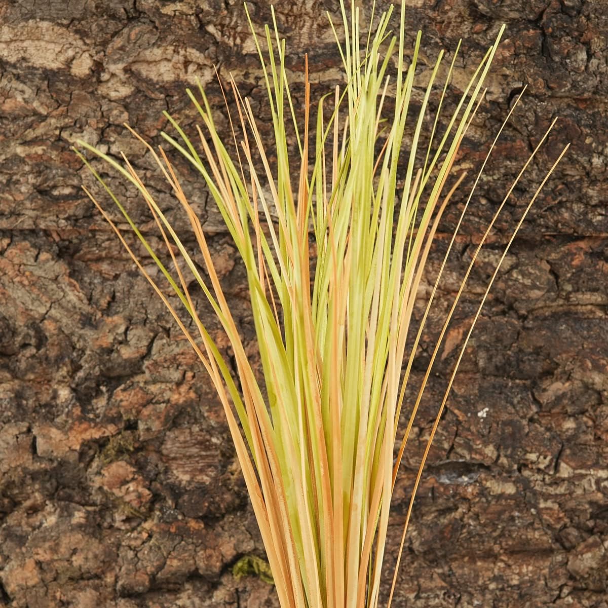 Fake Desert Dry Grass, Reptile Plants for Terrarium, Bearded Dragon Tank Accessories Habitat Decor fit Crested Gecko Leopard Lizard Chameleon Ball Python Snake