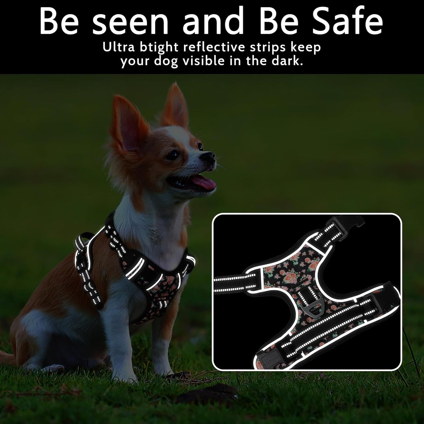 Timos Dog Harness, 3 Snap Buckles No-Pull Soft Padded Dog Vest with 2 Metal Leash Clips,Adjustable Reflective No Choke Pet Harness with Easy Control Handle for Small Dogs,Black Rose,S