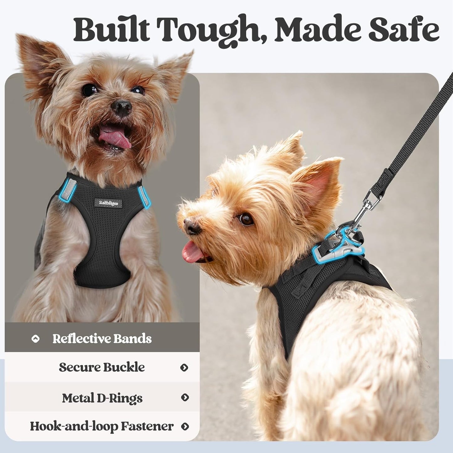rabbitgoo Dog Harness Small Sized and Leash Set, Step in Soft Light Puppy Vest, Breathable Mesh Pet Harness, Reflective for Safe Easy Walking, Black XS