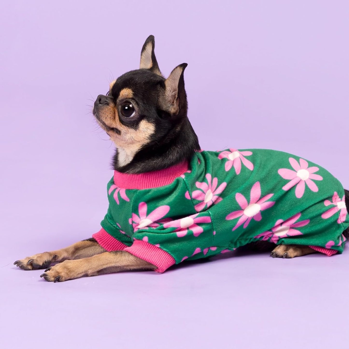 Fitwarm Flower Fleece Dog Pajamas, Warm Winter Dog Clothes for Small Dogs Girl, Cozy Pet Onesie with Feet, Dark Green, XL