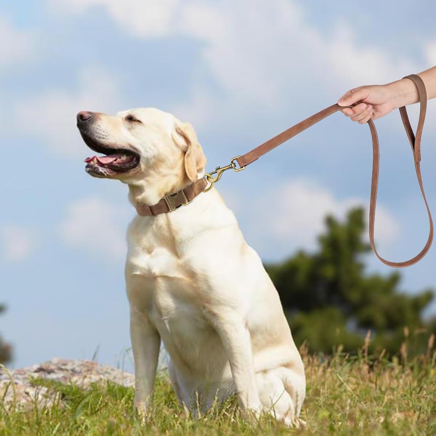 Didog Soft PU Leather Dog Collar, Stylish Quick Released Dog Collar for Large Dogs, Easy Clean Adjustable Pet Collar for Daily Walking, Brown, XL Fit 17-27" Neck