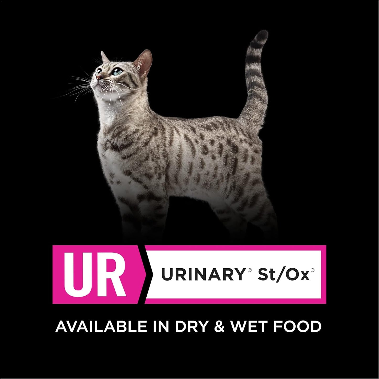 Purina Pro Plan Veterinary Diets UR Urinary St/Ox Feline Formula Dry Cat Food - 6 lb. Bag