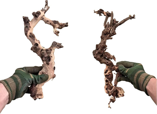 Small Natural Driftwood for Aquarium Styling Carefully Selected Natural Aquarium Decor Driftwood for Reptile Tank Reptile Tank Wood Decor (2pcs grapewood Branch 10-12inch)