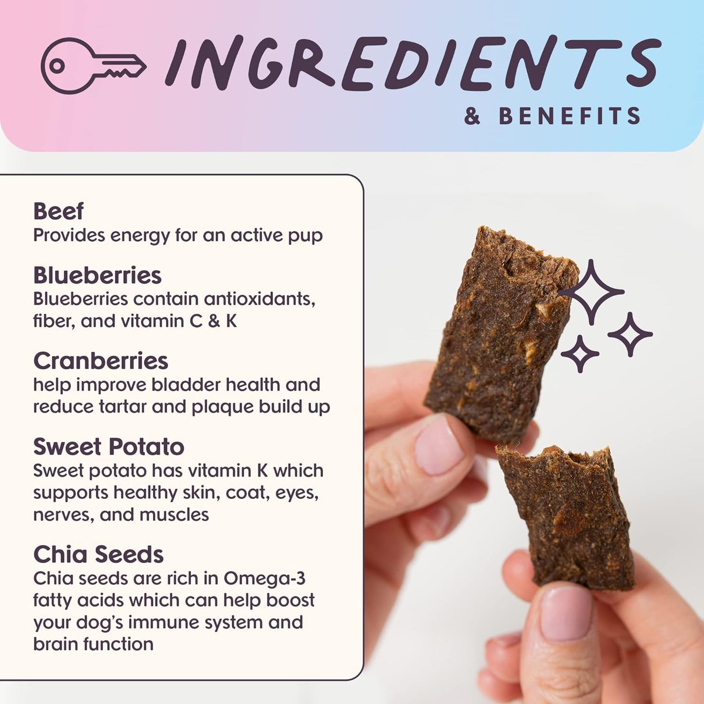 Bundle x Joy Leash & Load Dog Treats Beef Jerky Snack Bars, 16 oz Bag, Puppy Training Treats, Natural Superfood Grain Free Treat Made with Real Beef, Superfoods, Corn, Poultry & Soy Free