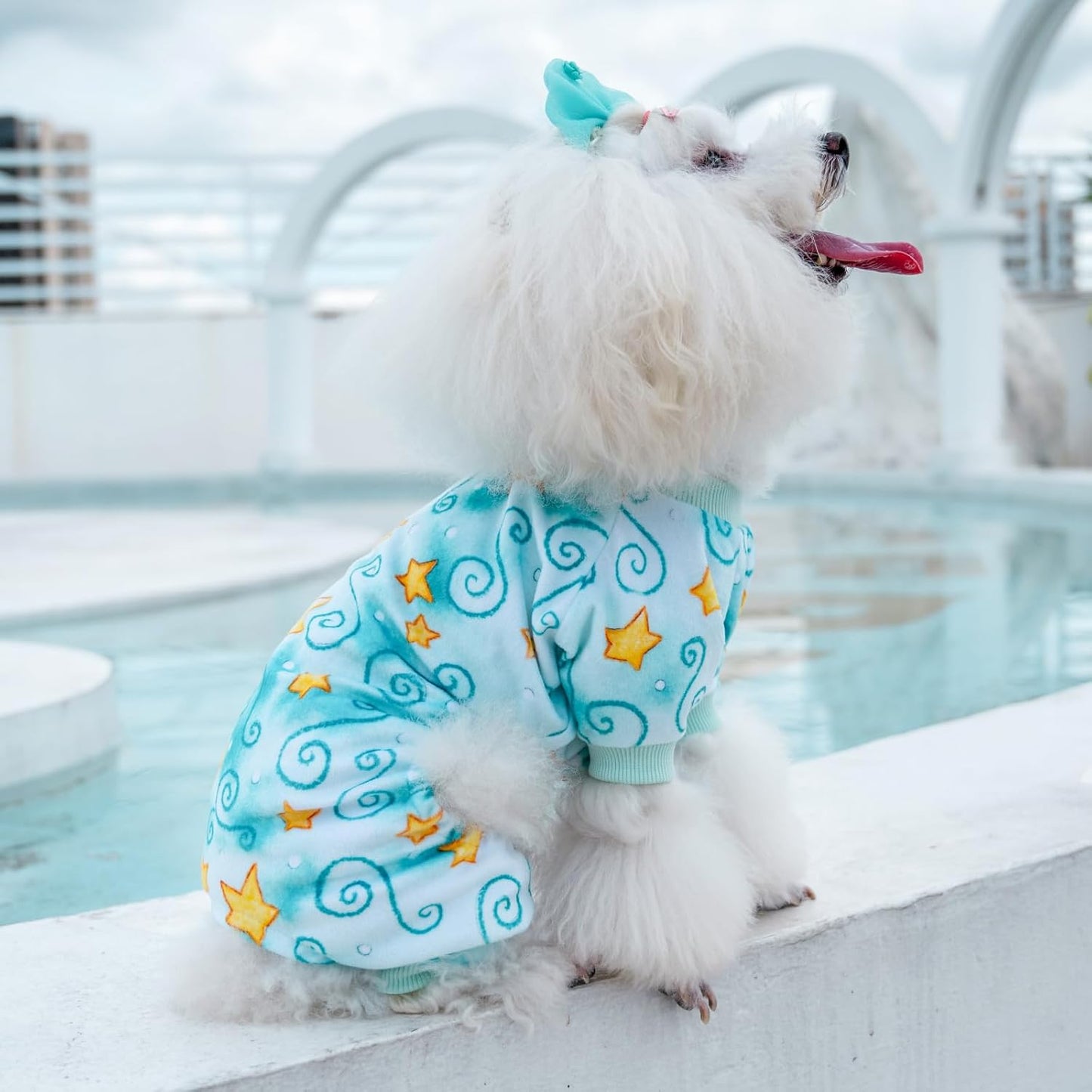 CuteBone Small Dogs Outfit Soft Puppy Onesies Pjs Dog Pajamas Pet Coat Cat Apparel Comfy Doggie Jumpsuit Bodysuit for All Seasons P279L