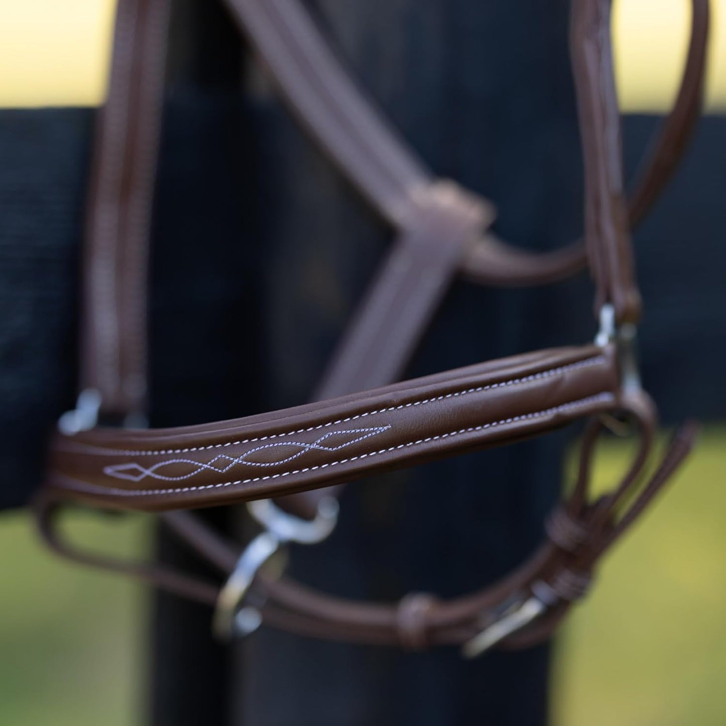 HORZE Warren Soft Adjustable Genuine Leather Horse Halter | Stainless Steel Hardware - Light Brown - Cob