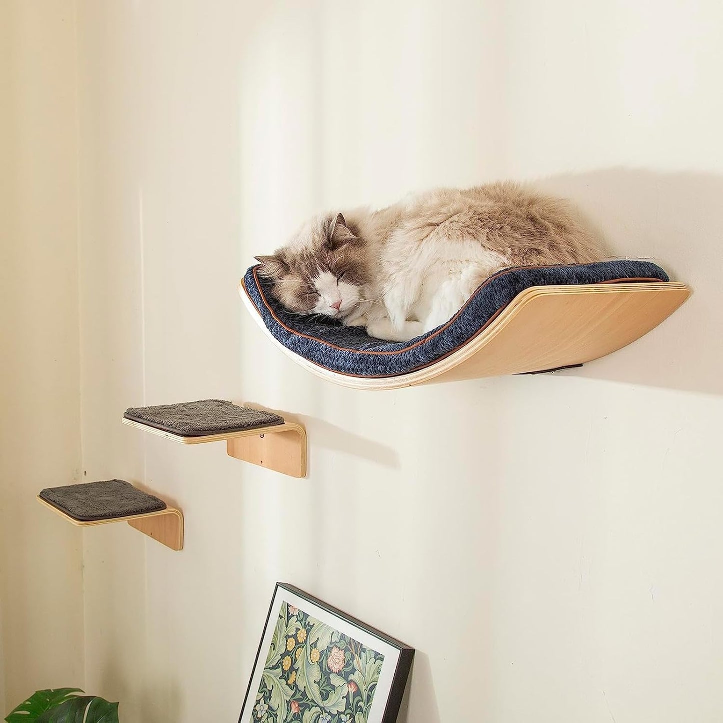 Cat Wall Shelf with Two Steps - Curved Cat Shelves and Perches for Wall (Large Size) - Wall Mounted Cats Furniture for Sleeping, Playing, Climbing, and Lounging