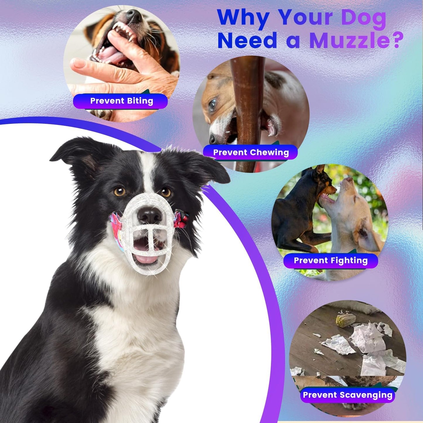 Basket Muzzle Allows Panting Drinking - Anti Biting Chewing, Suitable for Grooming Trimming Training, Transparent, Size 4