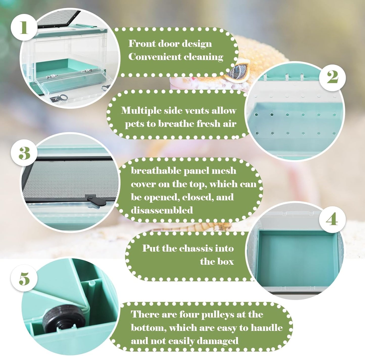 PINVNBY Plastic Reptile Feeding Box with Wheels,Reptiles Breeding Enclosure Cages Transparent Amphibians Habitat Terrarium Tank Portable Transport Container for Lizard,Bearded Dragon(Blue)