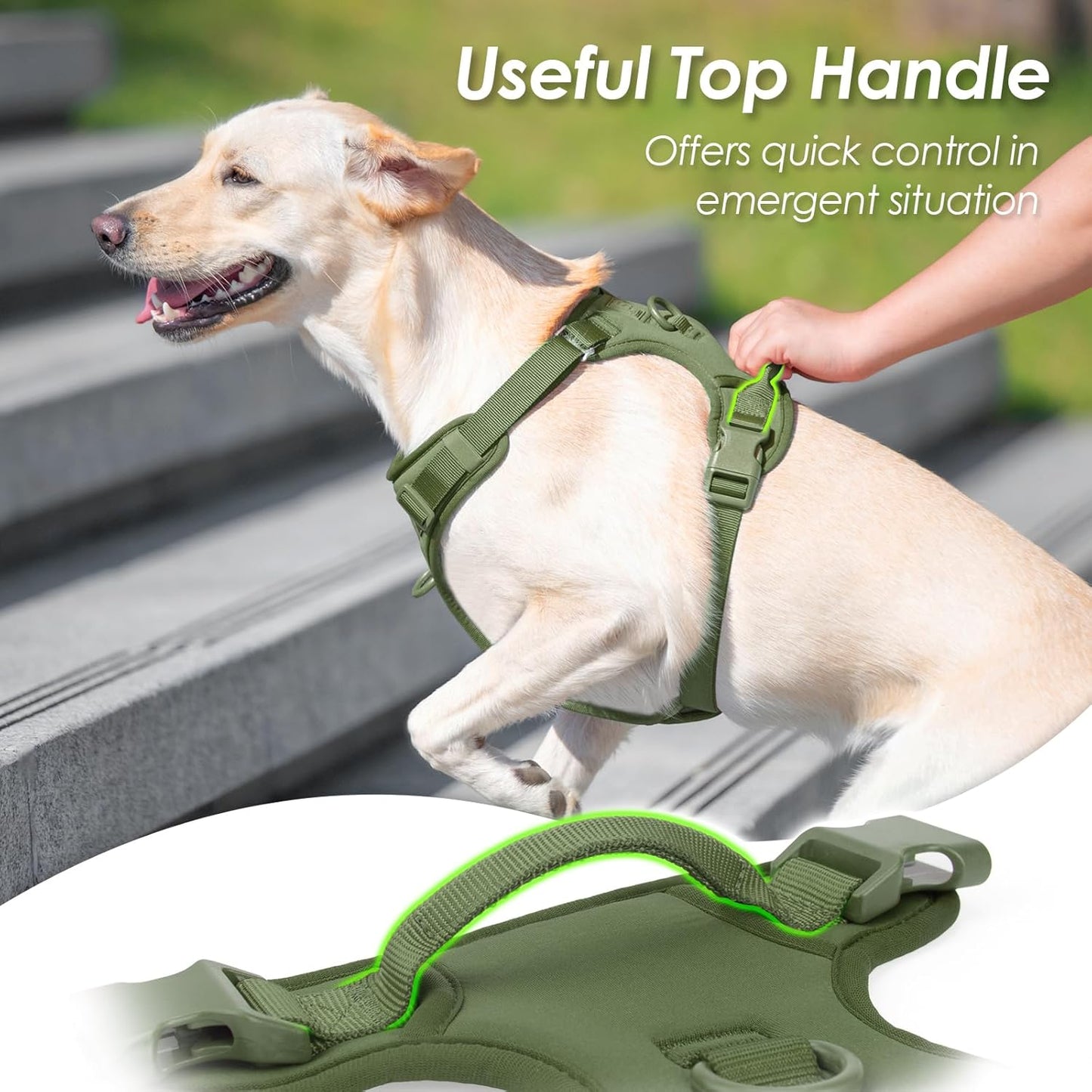 No Pull Dog Harness, Puppy Vest with Front Clip for Small Medium Large Sized Dog (Misty Green,XL)