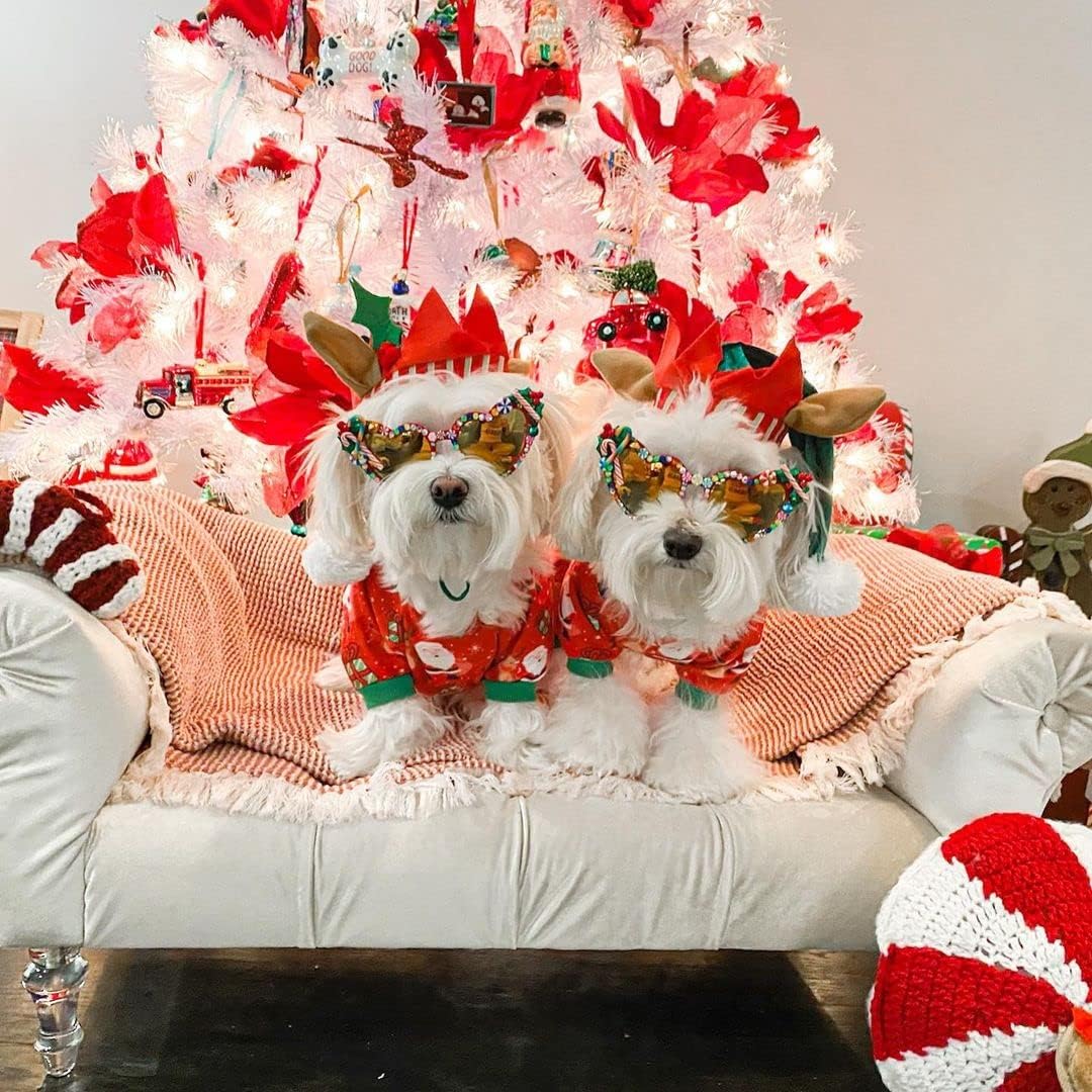 CuteBone Small Dogs Christmas Outfit Soft Puppy Onesies Pjs Dog Pajamas Pet Coat Cat Apparel Comfy Doggie Jumpsuit Bodysuit for All Seasons P135S